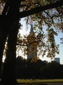 Enlarge photo 305