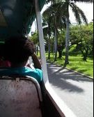 Enlarge photo 36