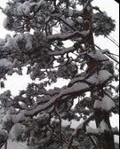 Enlarge photo 57