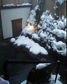 Enlarge photo 54