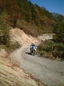Enlarge photo 291