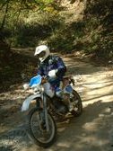 Enlarge photo 293