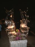 Enlarge photo 344