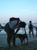 Enlarge photo 346