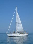 Enlarge photo 349