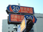 Enlarge photo 152