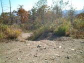 Enlarge photo 292