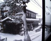 Enlarge photo 56