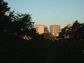 Enlarge photo 286