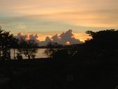 Enlarge photo 167