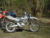 Enlarge photo 154