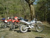 Enlarge photo 156