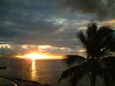 Enlarge photo 171