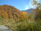 Enlarge photo 302