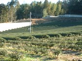 Enlarge photo 391
