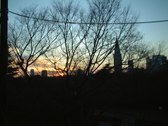 Enlarge photo 393