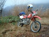 Enlarge photo 311