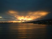 Enlarge photo 210