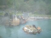 Enlarge photo 117