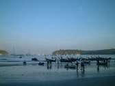 Enlarge photo 336