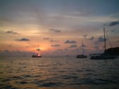 Enlarge photo 351