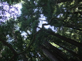A day off in Norcal