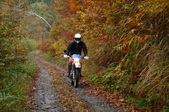 Enlarge photo 13