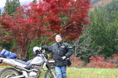 Enlarge photo 14