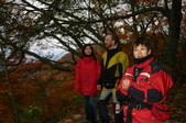 Enlarge photo 23