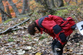 Enlarge photo 28