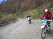 Enlarge photo 81