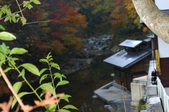 Enlarge photo 66