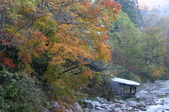 Enlarge photo 67