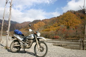 Enlarge photo 85