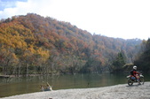 Enlarge photo 86