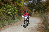 Enlarge photo 103