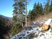 Enlarge photo 21