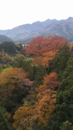 Enlarge photo 1