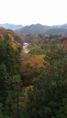 Enlarge photo 3