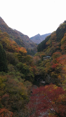 Enlarge photo 4