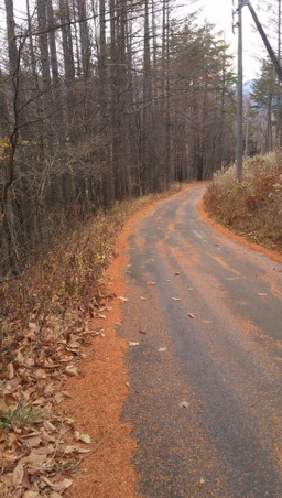 Enlarge photo 11