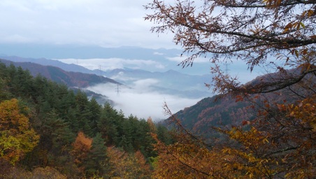 Enlarge photo 15