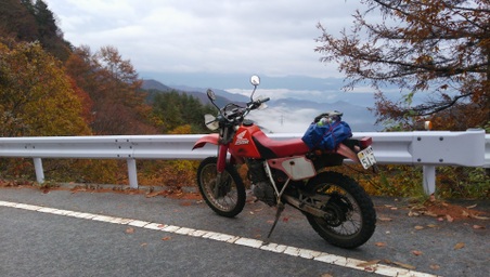 Enlarge photo 16