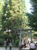 Enlarge photo 25