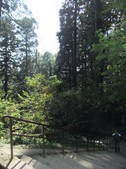 Enlarge photo 27