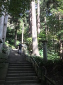 Enlarge photo 28