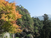 Enlarge photo 41