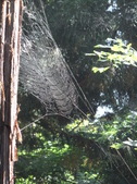 Enlarge photo 42