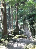 Enlarge photo 43