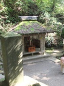 Enlarge photo 44